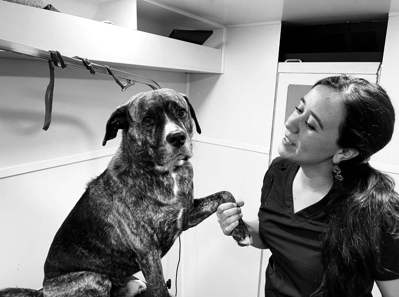 Natalia Ensignia, founder of My Sweet Pawtner, gently holding the paw of a client dog