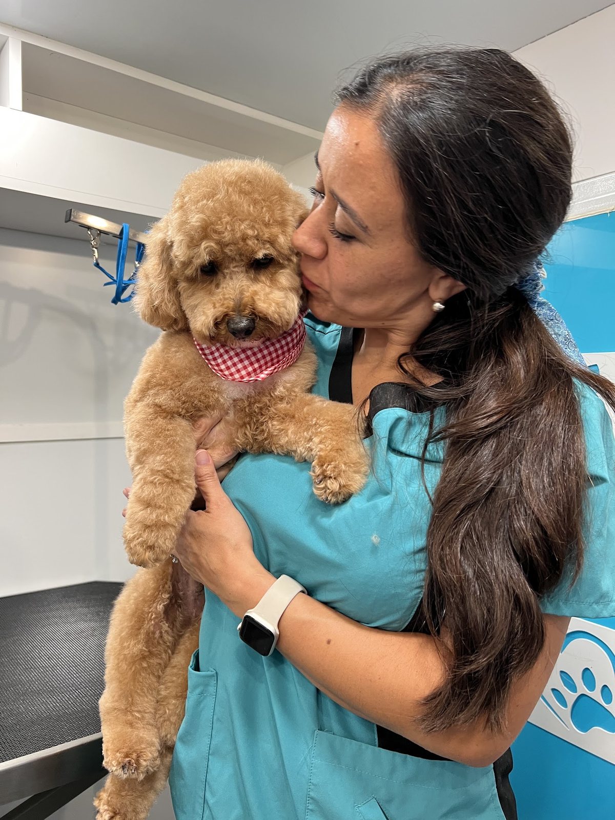 My Sweet Pawtner's veterinarian founder affectionately holding a freshly groomed poodle